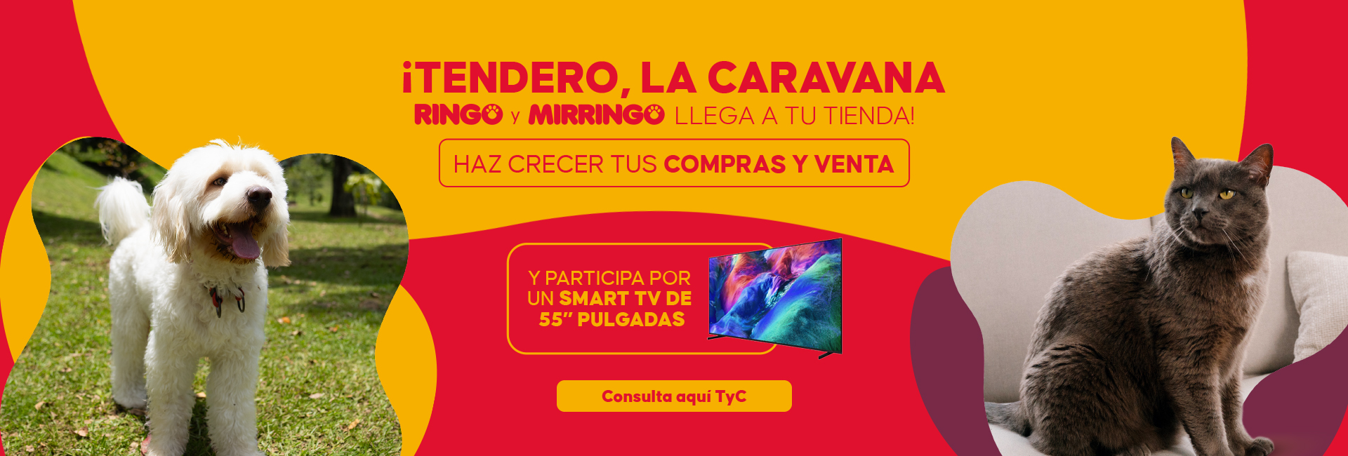Banner caravanas mirringo