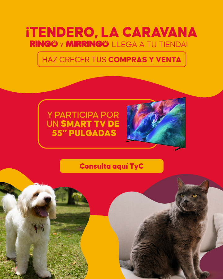 Banner caravanas mirringo