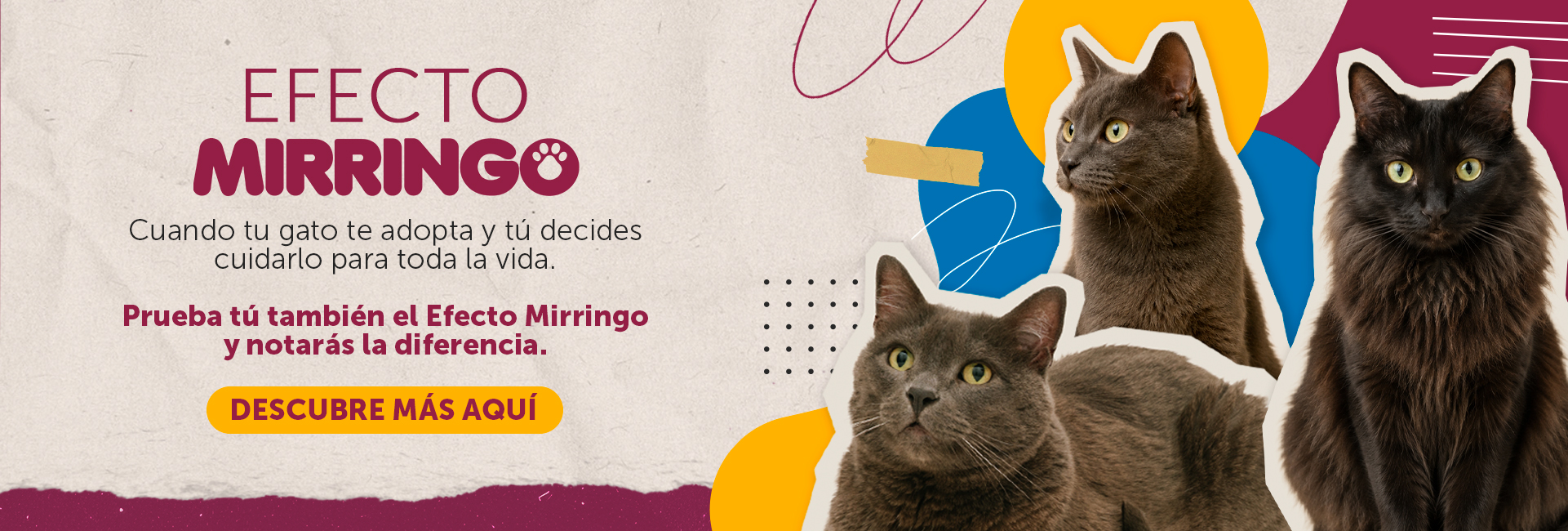 Banner efecto mirringo 2026