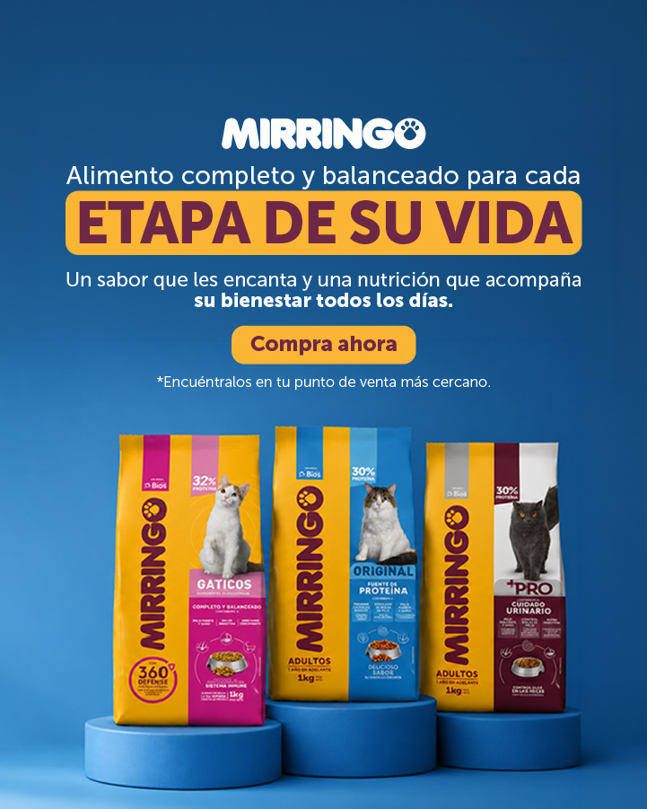 Banner productos 2026