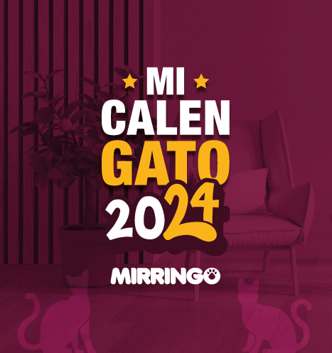 Calendario