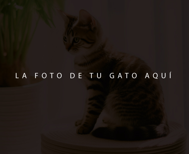 Imagen predeterminada