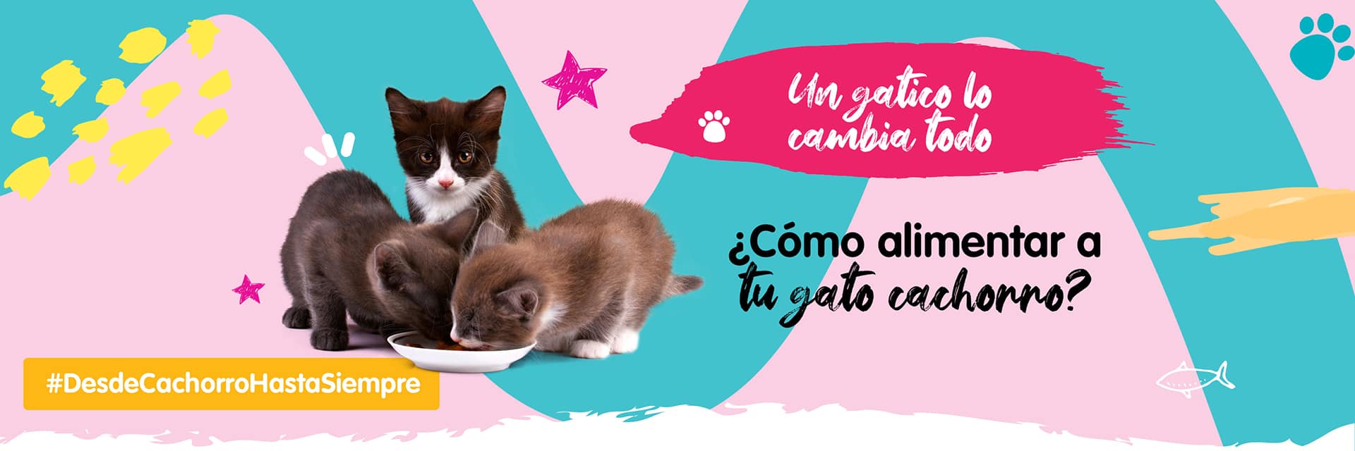 Banner contenido alimentar a tu cachorro