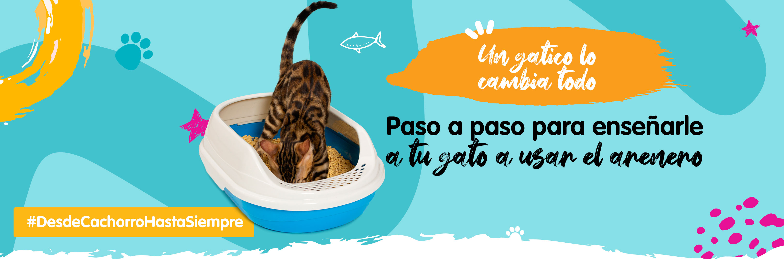 Banner contenido arenero cachorro