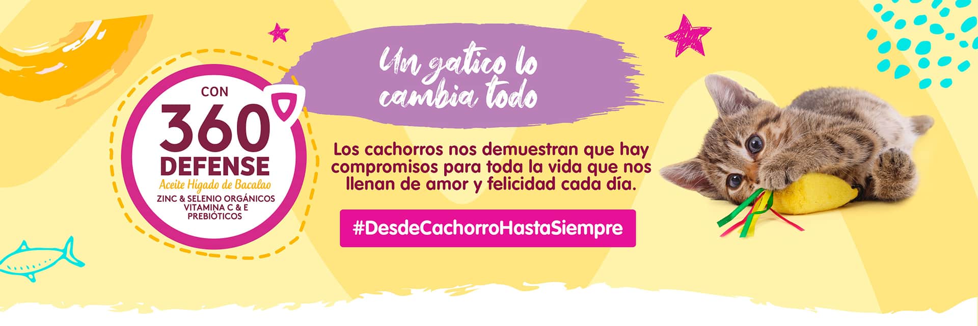 Banner landing cachorros