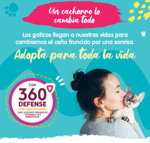 Banner adopta un cachorro