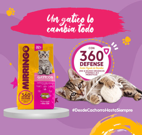 Banner producto cachorros