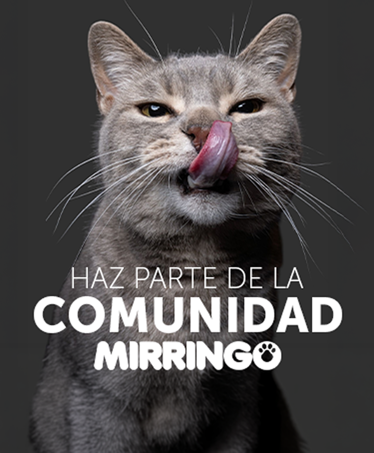 Banner landing de registro