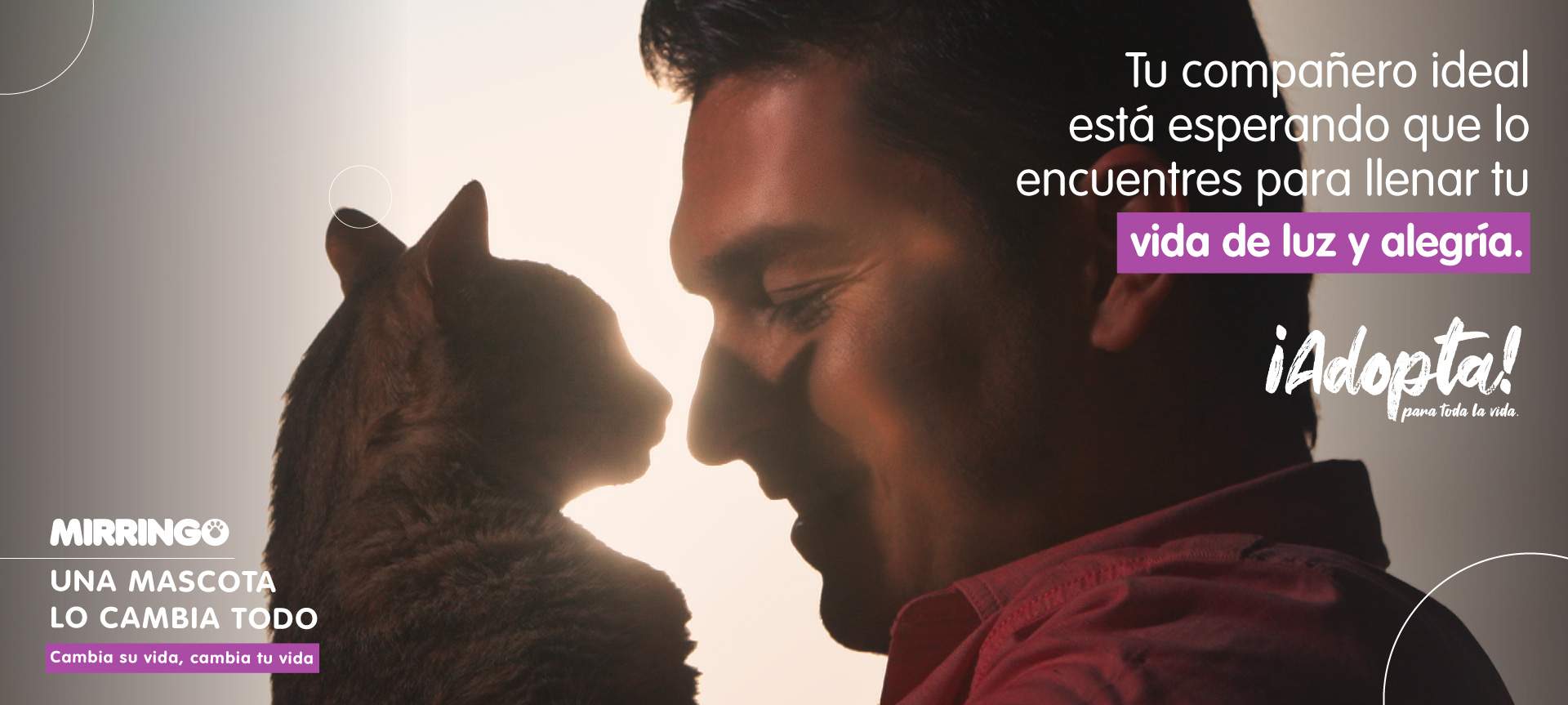 Adoptar tu gato ideal con Mirringo 