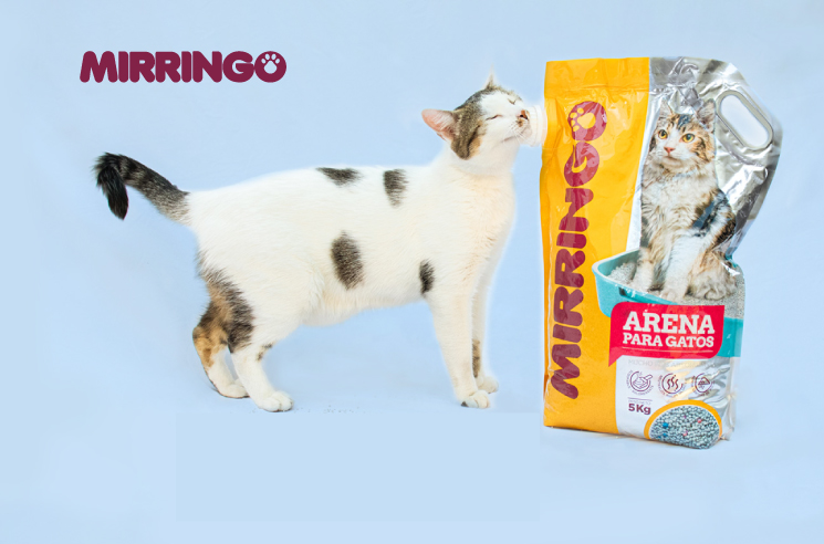 consejos para mantener limpio el arenero de mi gato y que lo use –  Croquetero