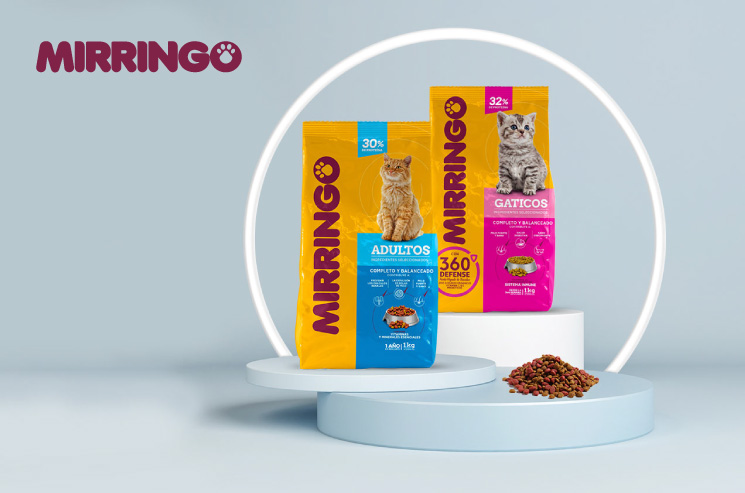 CÓMO ALIMENTAR A MI GATO CACHORRO Y A MI GATO ADULTO