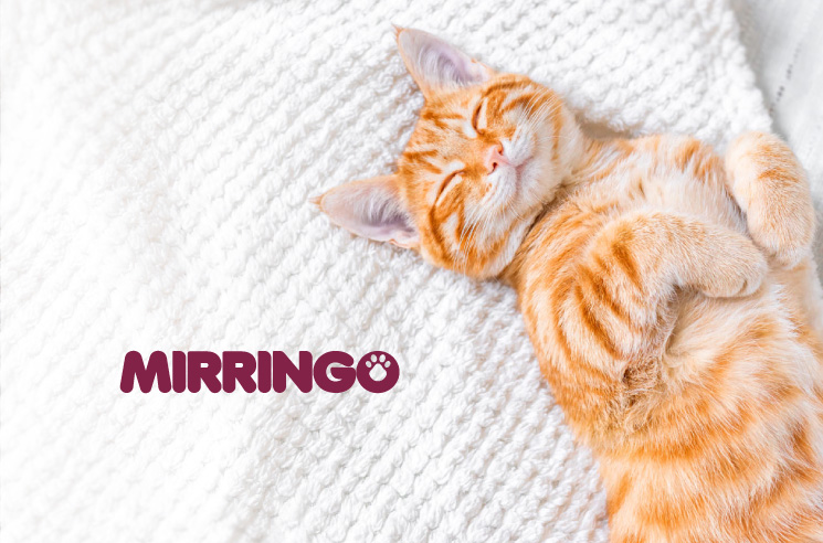 banner interna tecnicas relajacion%20(1)