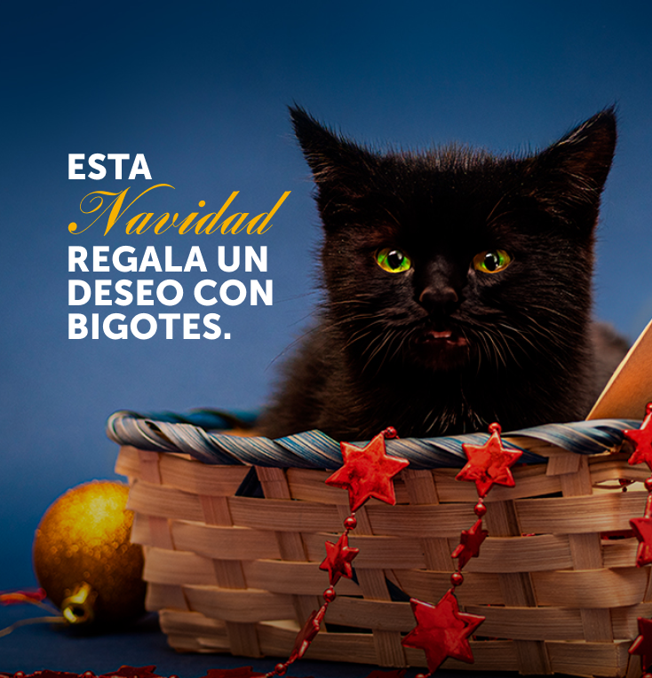 apadrina-un-mirringo