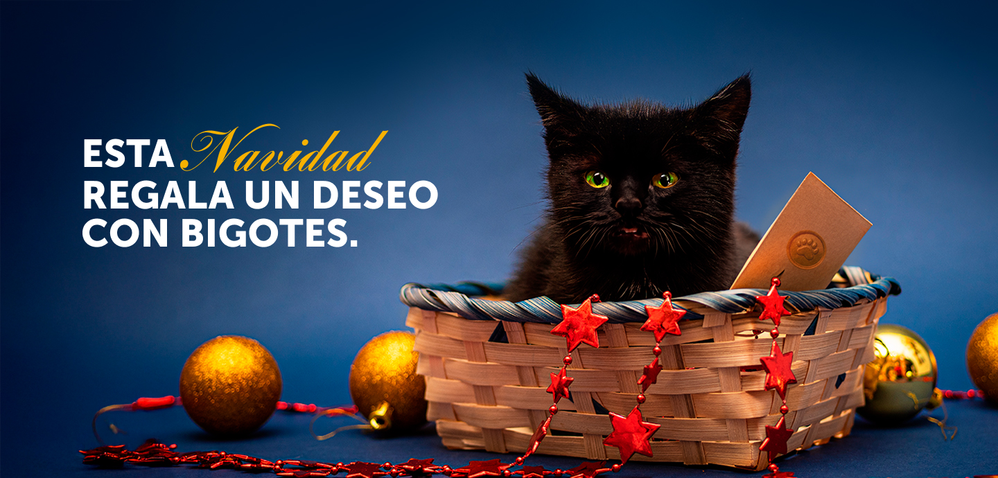 apadrina-un-mirringo