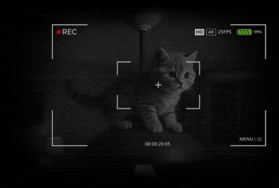 Gatico travesura efecto mirringo