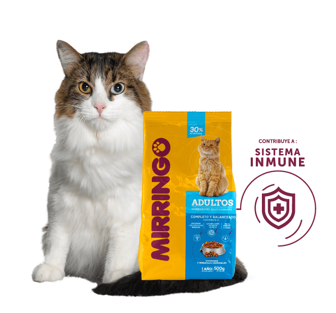 producto mirringo adultos