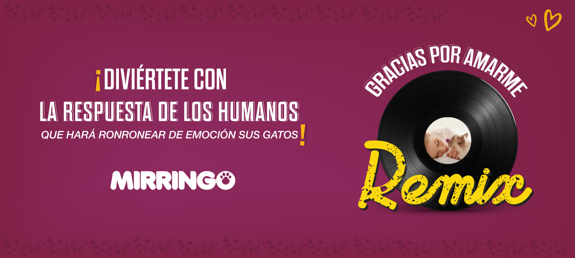 Diviértete con la respuesta de los humanos que emocionará a tus gatos