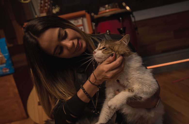 El gato de Kata Otalvaro