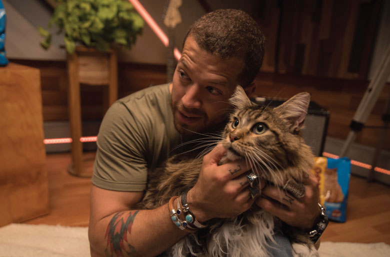 Thor el gato de Juan David "el pollo"