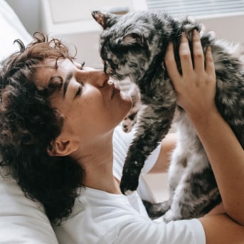 afecto entre gato y su dueño