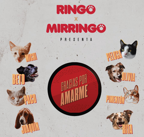Banner-interna videoclip