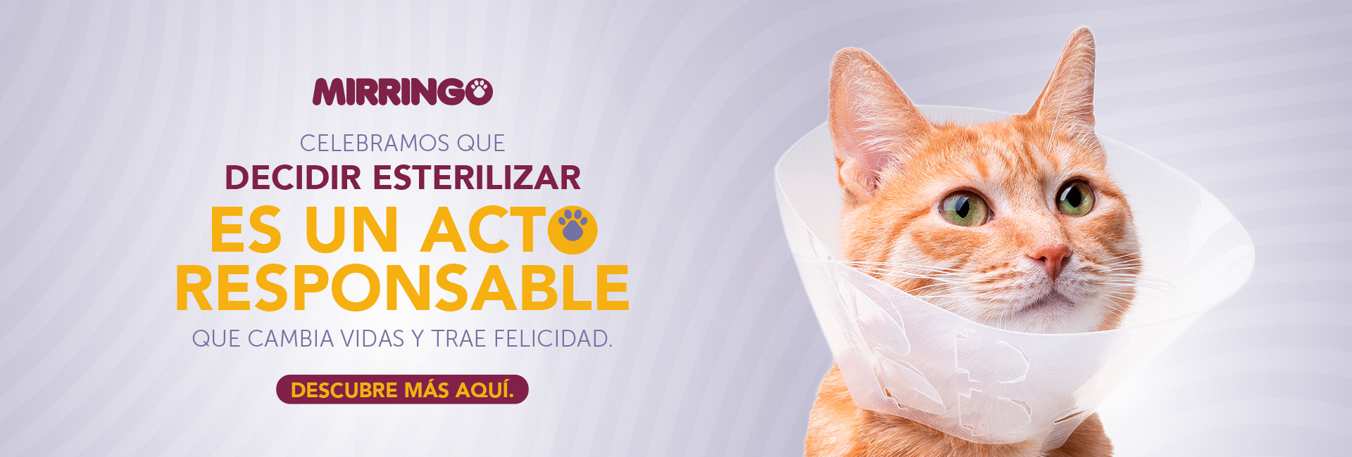 Banner esterilizacion