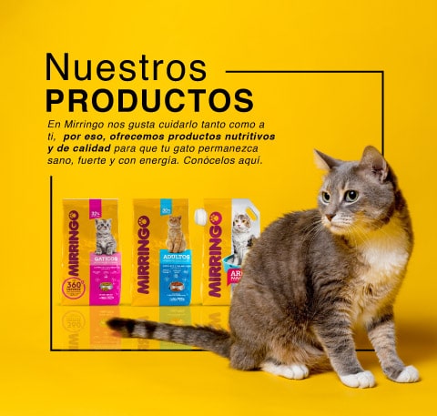 producto
