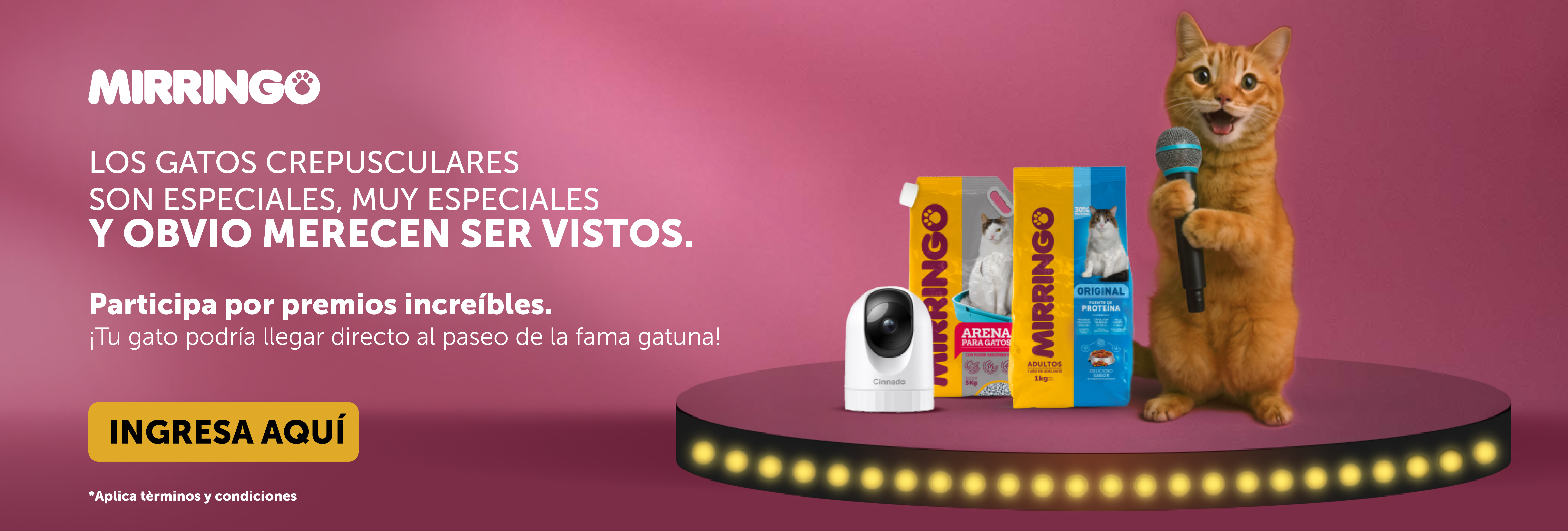 Banner efecto mirringo videos 