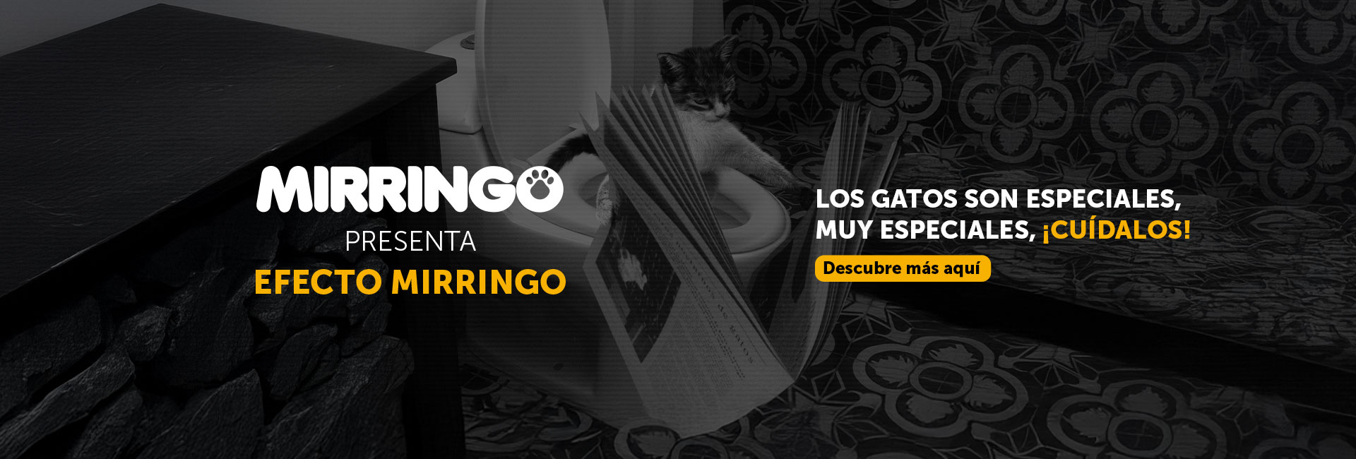 Banner efecto mirringo