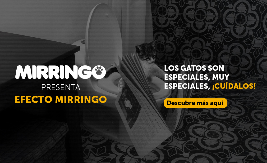 Banner efecto mirringo