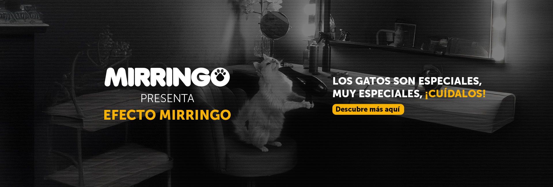 Banner efecto mirringo