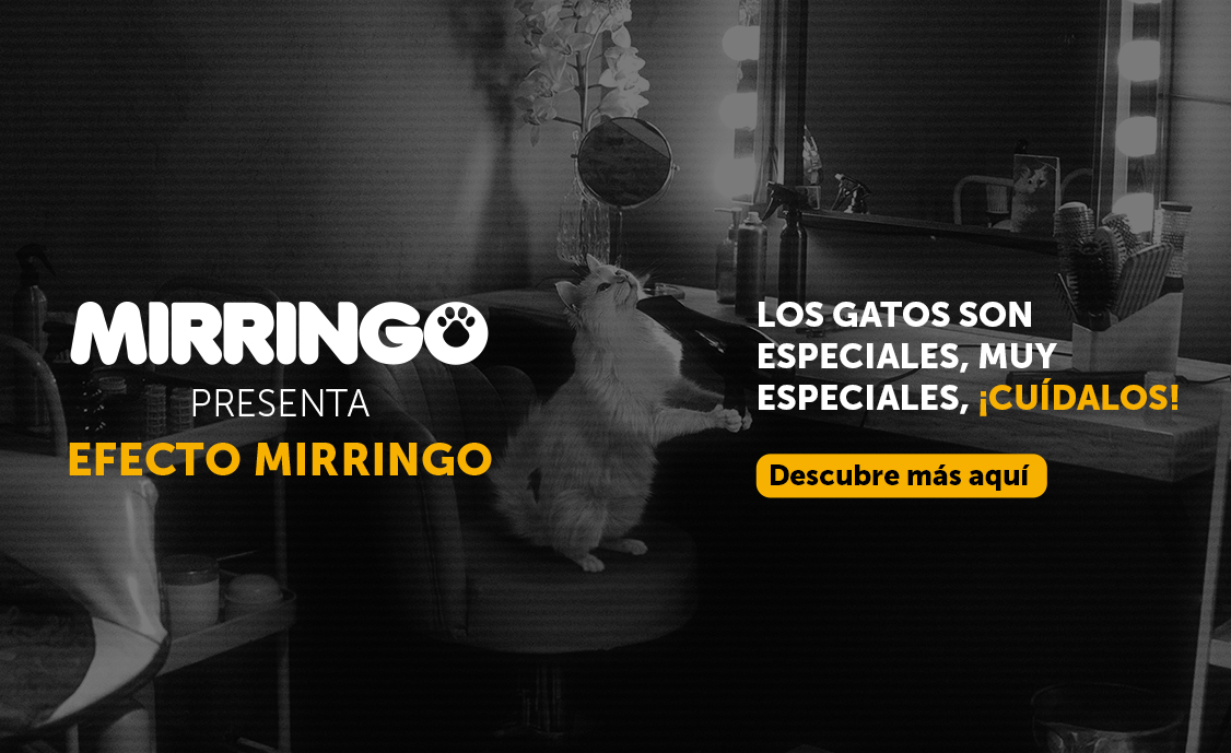Banner efecto mirringo