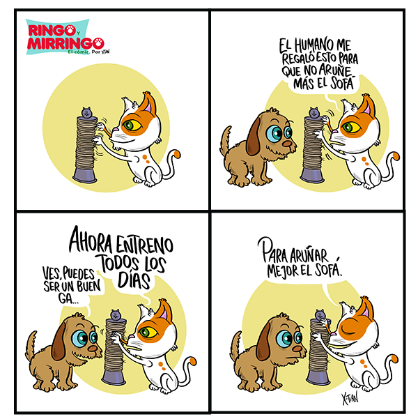 Mirringo  Panamá capitulo 11 