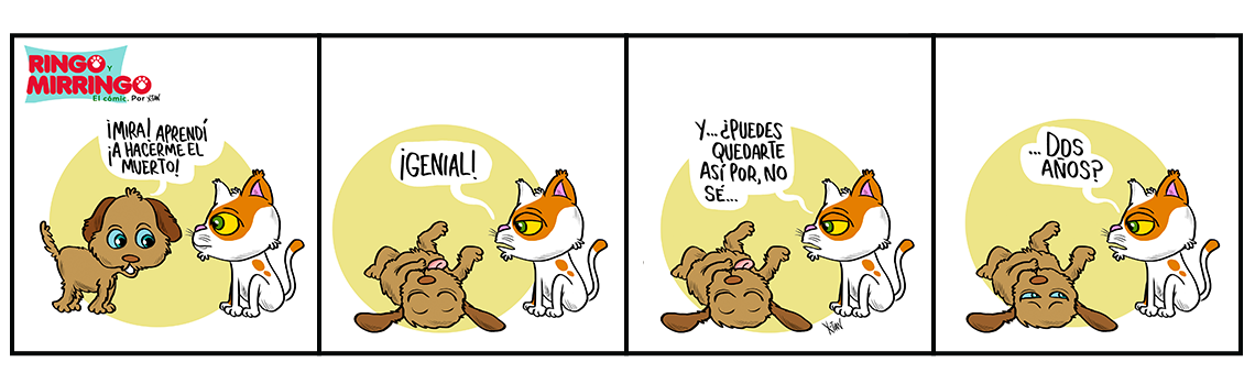 Mirringo Panamá Capítulo 12