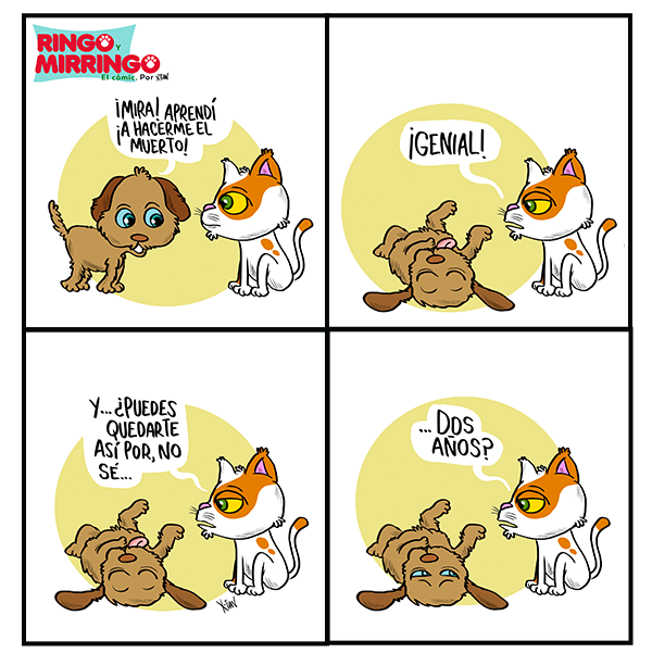 Mirringo Panamá Capítulo 12