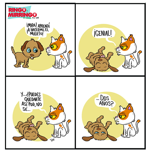 Mirringo Capítulo 12 