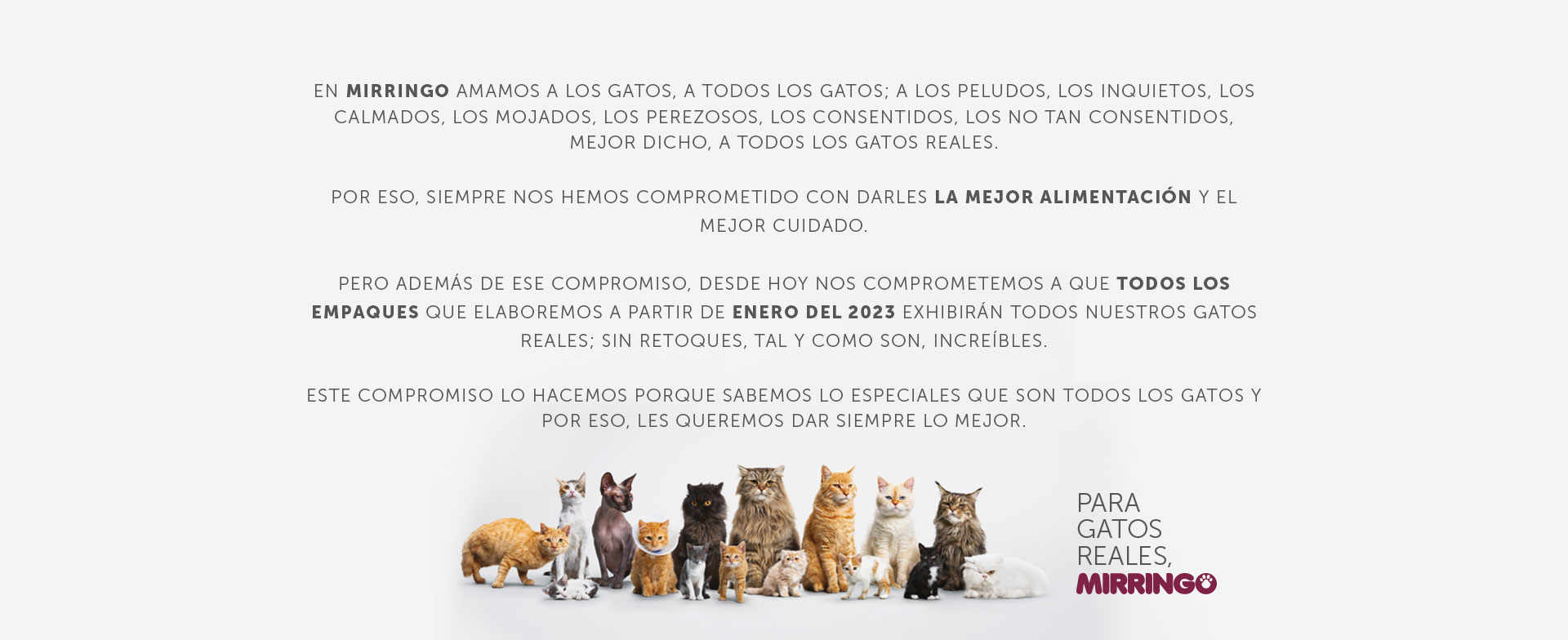 compromiso.jpg