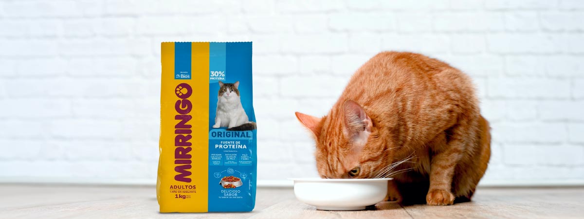 por qué a los gatos les gusta Mirringo