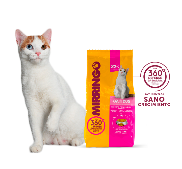 producto mirringo gaticos