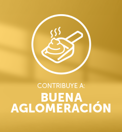Nuestros - productos - arena