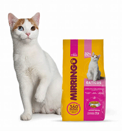 producto mirringo gaticos