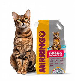 Nuestros - productos - arena