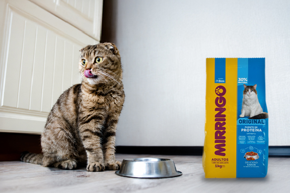 ¿Cómo leer la etiqueta del alimento de tu gato?