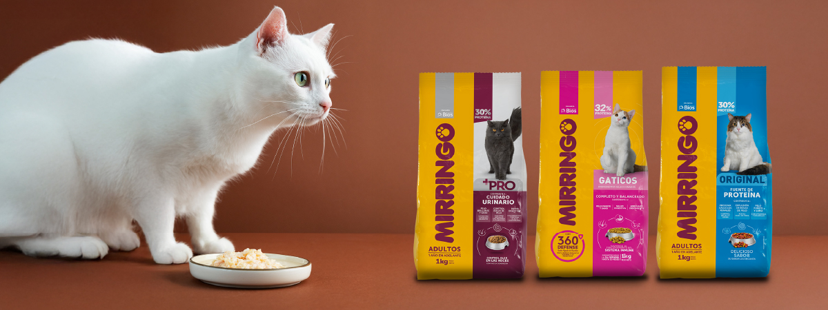 alimento para gatos Mirringo