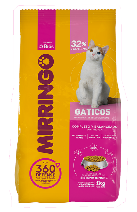 imagenes-gaticos.png