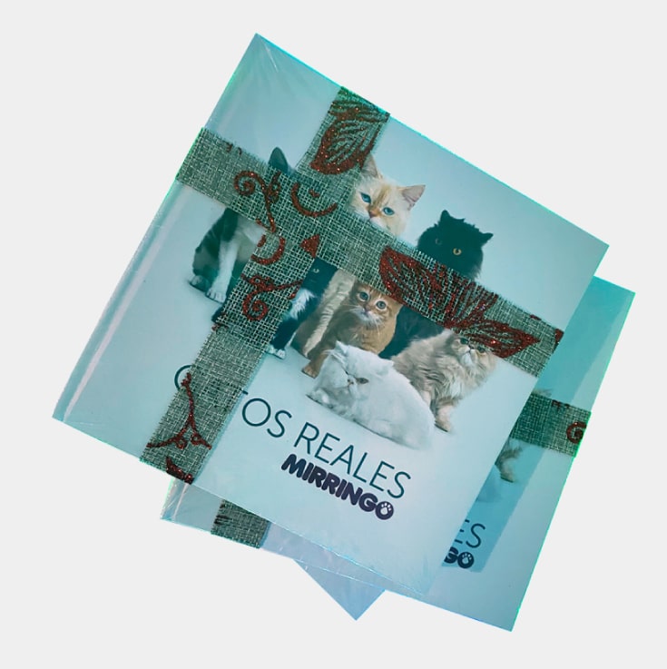Libro gatos reales