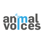 Fundación animal voices