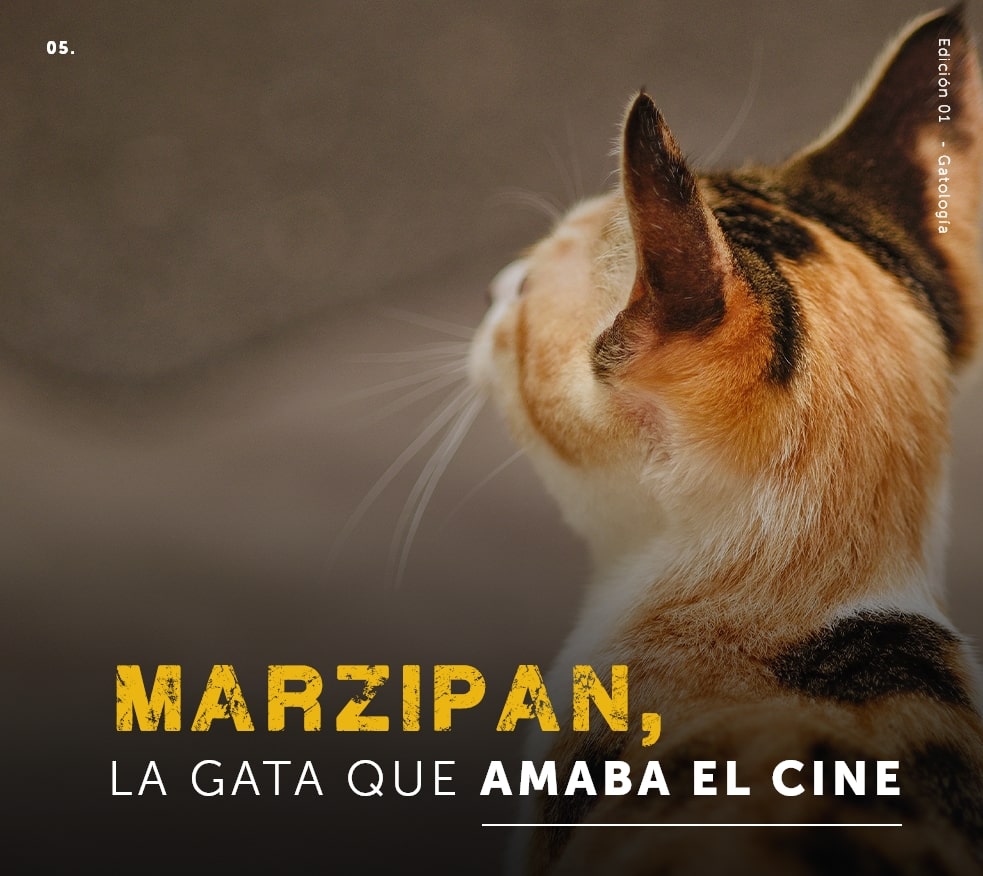 Marzipan la gata que amaba el cine