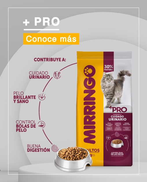 Mirringo + Pro