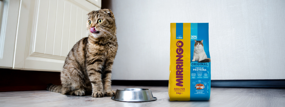 ¿Cómo leer la etiqueta del alimento de tu gato?